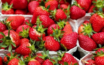 Fresas